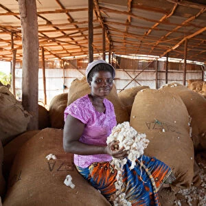 Africa, Malawi, Balaka district. Cotton processing