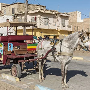 Africa, Senegal, Saint-Louis. A caleche, traditional taxi