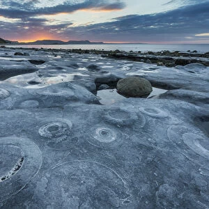 Ammonite Graveyard at sunrise, Monmouth Beach, Lyme Regis