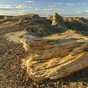 Argentina, Patagonia, Sarmiento, Bosque Petrificado, desert landscape