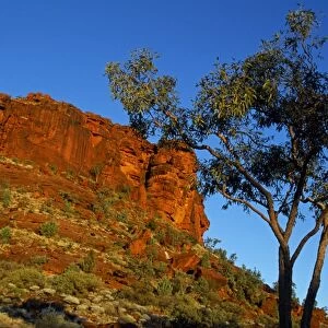 Australia, Northern Territory, Finke Gorge National Park