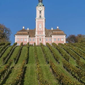 Birnau sanctuary and vineyards from below. Uhldingen-Muhlhofen, Baden-Wurttemberg, Germany