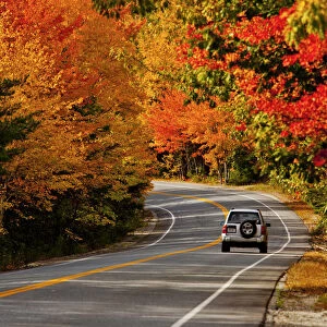 Car on Road in Autumn, Acadia National Park, Maine, USA