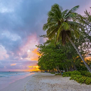 Caribbean, Barbados, Oistins, Miami Beach or Enterprise Beach