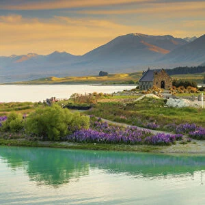 The Church of the Good Shepherd and Tekapo lake with lupins in bloom by the lake at