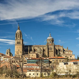 City skyline with the Cathedral, Salamanca, Castile and Leon, Spain