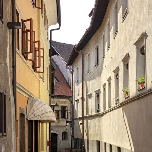 Cobble stone street and architecture, Skofja Loka, Upper Carniola, Slovenia