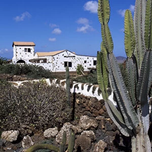 Cottage nearby Antigua, Fuerteventura, Canary Islands, Spain