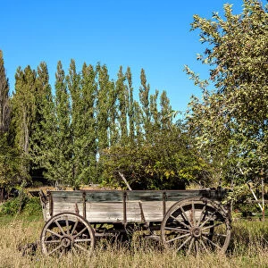 Countryside of Gaiman, The Welsh Settlement, Chubut Province, Patagonia, Argentina