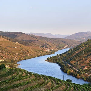 The Douro river and the terraced vineyards of the Port wine near Mesao Frio