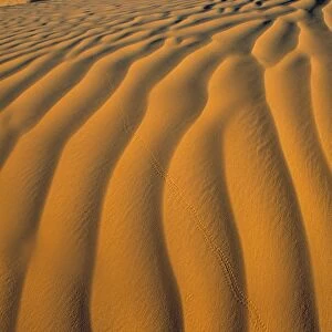 Douz, Sahara