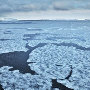 Drift ice and tabular icebergs in Weddell Sea - Antarctica, Weddell Sea, Queen Maud Land, Ekstrom Ice Shelf, Atka Bay