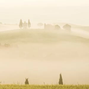Early morning mist, Cappella di Vitaleta, Chapel, Val d Orcia, Tuscany, Italy