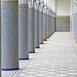 El Mokri Palace, Medina, Fez (Fes), Morocco, Africa