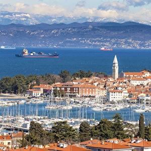 Europe, Slovenia, Istria. High angle view of the bay and marina of Izola, Slovenian
