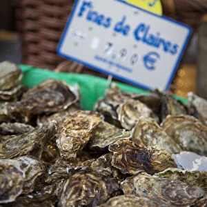 Fines de Claire oysters in market, Rue Mouffetard, Latin Quarter, Paris, France