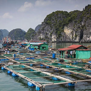 Floating fish farm off Cat Ba Island, Halong Bay, Vietnam