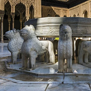 Fountain of the Court of the Lions, Palace of the Lions, Alhambra palace, Granada