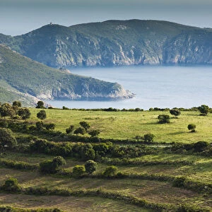 France, Corsica, Corse-du-Sud Department, Calanche Region, Piana, elevated view towards