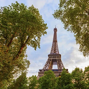 France, Paris, Eiffel Tower framed by trees