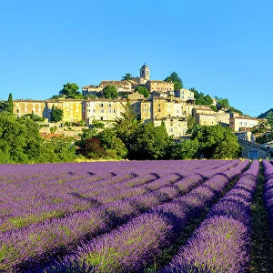 France, Provence-Alpes-Cote d Azur, Banon and lavender fields