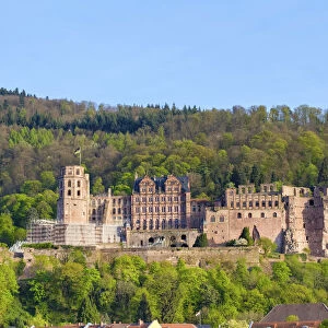 Germany, Baden-WAorttemberg, Heidelberg. Schloss Heidelberg castle on the Neckar River