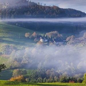Germany, Baden-Wurttemburg, Black Forest, Horben, morning fog, autumn