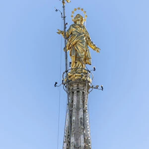The golden statue called La Madonnina on the top of the Duomo the icon of Milan Lombardy