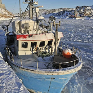 Hafen, Ilulissat, Greenland