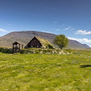 Iceland, North Iceland, Skagafjorður, a boy rides a white Icelandic horse past Vidimyri turf covered church