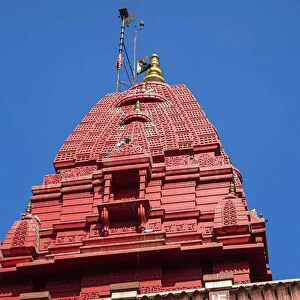 India, Delhi, Digambara Jain Temple