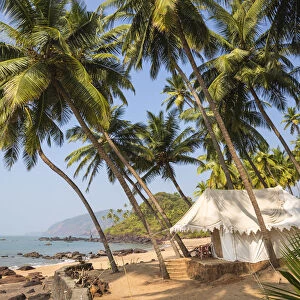 India, Goa, Cola beach, Cola Beach Exclusive Tented Resort