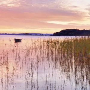 Ireland, Co. Mayo, Lough Conn at sunrise