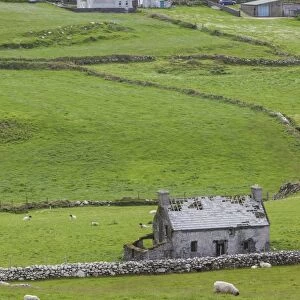 Ireland, County Cork, Beara Peninsula, Ring of Beara, Cahermore, landscape