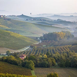 Italy, Piedmont (Piemonte), Cuneo District, Langhe, hot air balloons fly over valley
