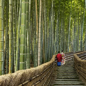 Japanese Couple on Steps Through Bamboo Forest, Adashino Nembutsu-ji Temple, Arashiyama