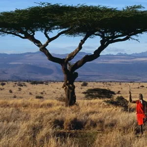 Africa Metal Print Collection: Kenya