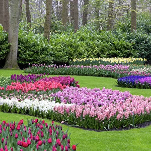Keukenhof gardens, Lisse, North Holland, Netherlands