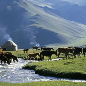 Asia Tote Bag Collection: Kyrgyzstan