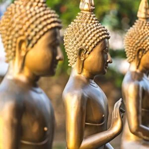Line of Buddha statues, Seema Malaka temple on Beira Lake. Colombo, Sri Lanka