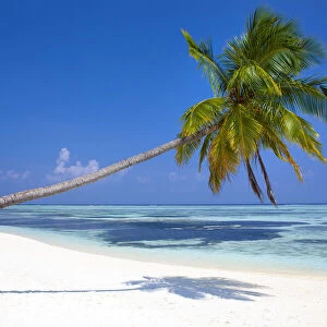 Meeru Island, the Maldives, Indian Ocean