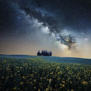 Milky way above the cypress forest in Val d Orcia, Tuscany, Italy