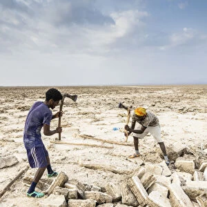 Two miners breaking up salt blocks in the salt flat, Danakil Depression, Afar Region