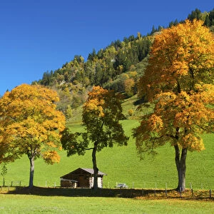 Near Dorfgastein, Gasteiner Valley, Pongau, Salzburger Land, Austria