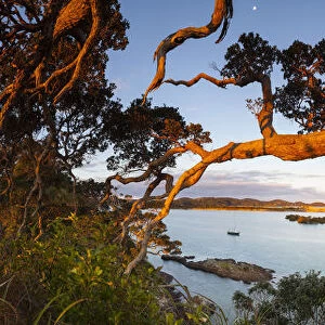 Ngunguru Sunset, Tutukaka Coast, Whangarei, Northland, North Island, New Zealand