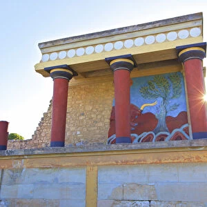 North Entrance With A Charging Bull And Olive Tree Fresco, The Minoan Palace Of Knossos