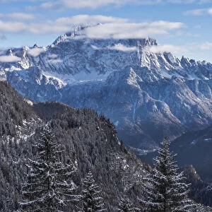 The north west side of Civetta mountain framed between some snowcapped trees in winter