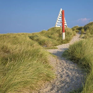 Path to the dune in the Ellenbogen nature reserve, Sylt, Schleswig-Holstein, Germany