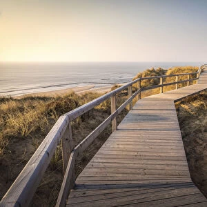 Path on the dunes above the Kampen West Beach, Sylt, Schleswig-Holstein, Germany