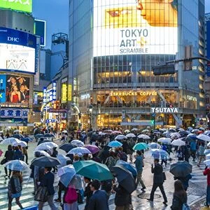 Pedestrians with umbrellas Shibuya Crossing, one of the busiest crossings in the world